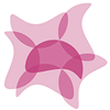 Cosmetics