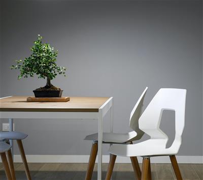 InBuyer Furniture 2023 (session 1)