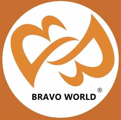 Shanghai Bravo International Travel Service Co., Ltd