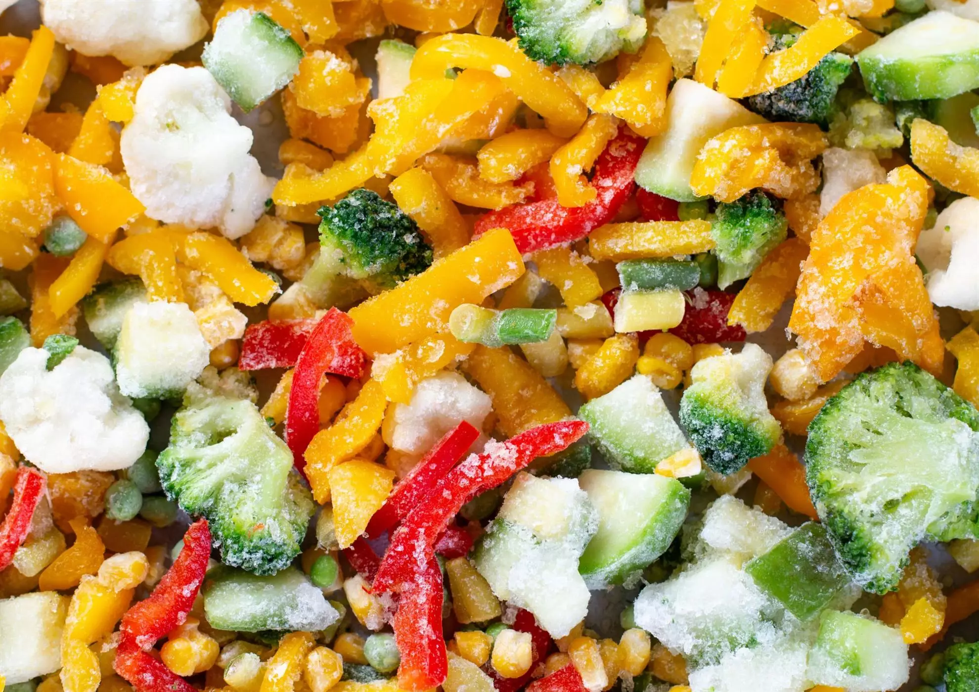 InBuyer Food 2024 (focus fresh&frozen - session 2)