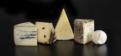 Aged PDO Pecorino Toscano Collezione