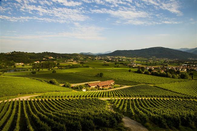 Ronco Calino Società Agricola srl