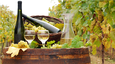 InBuyer Wine & Spirits 2025 (focus bio - session 2)